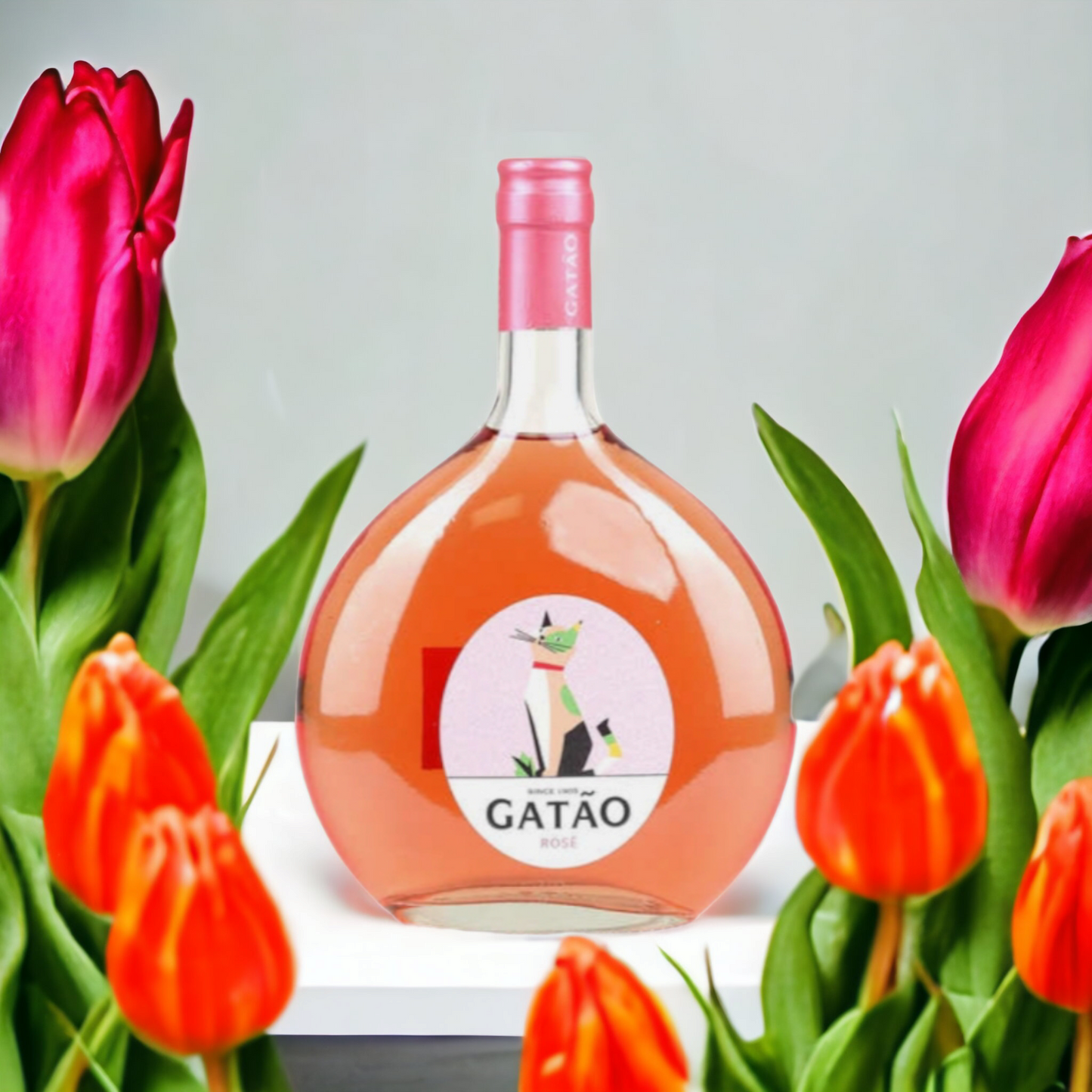 Gatão vin rosé du Portugal 70cl