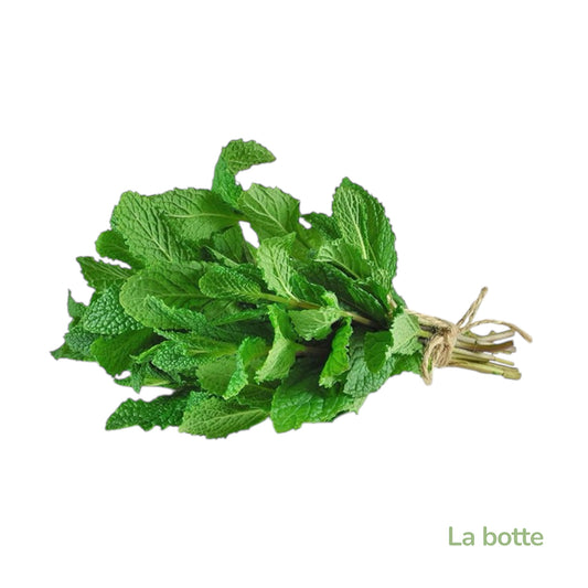 Menthe la botte-France