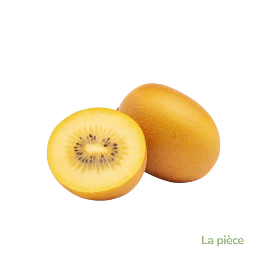 Kiwi jaune Nouvelle-Zelande