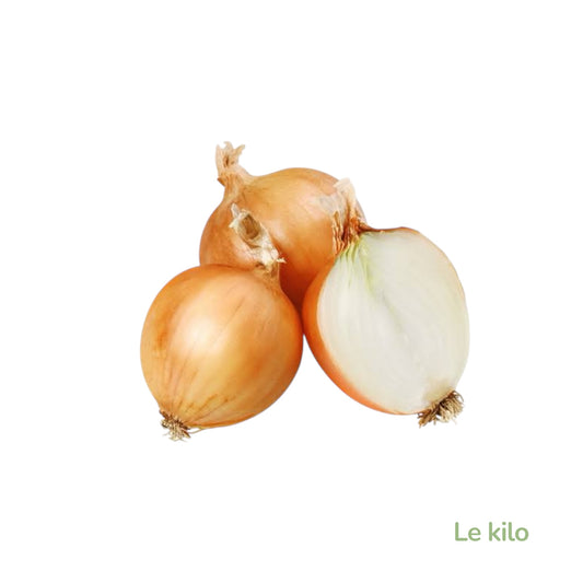 Oignon jaune 1Kg-France
