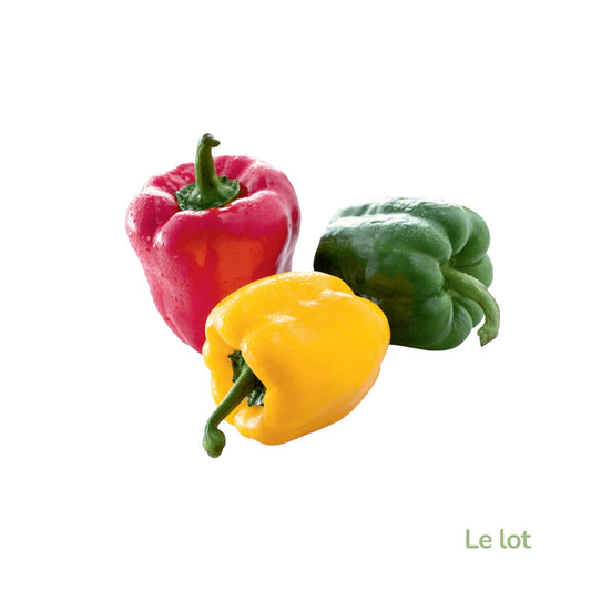Poivrons tricolores 3 pièces-Espagne