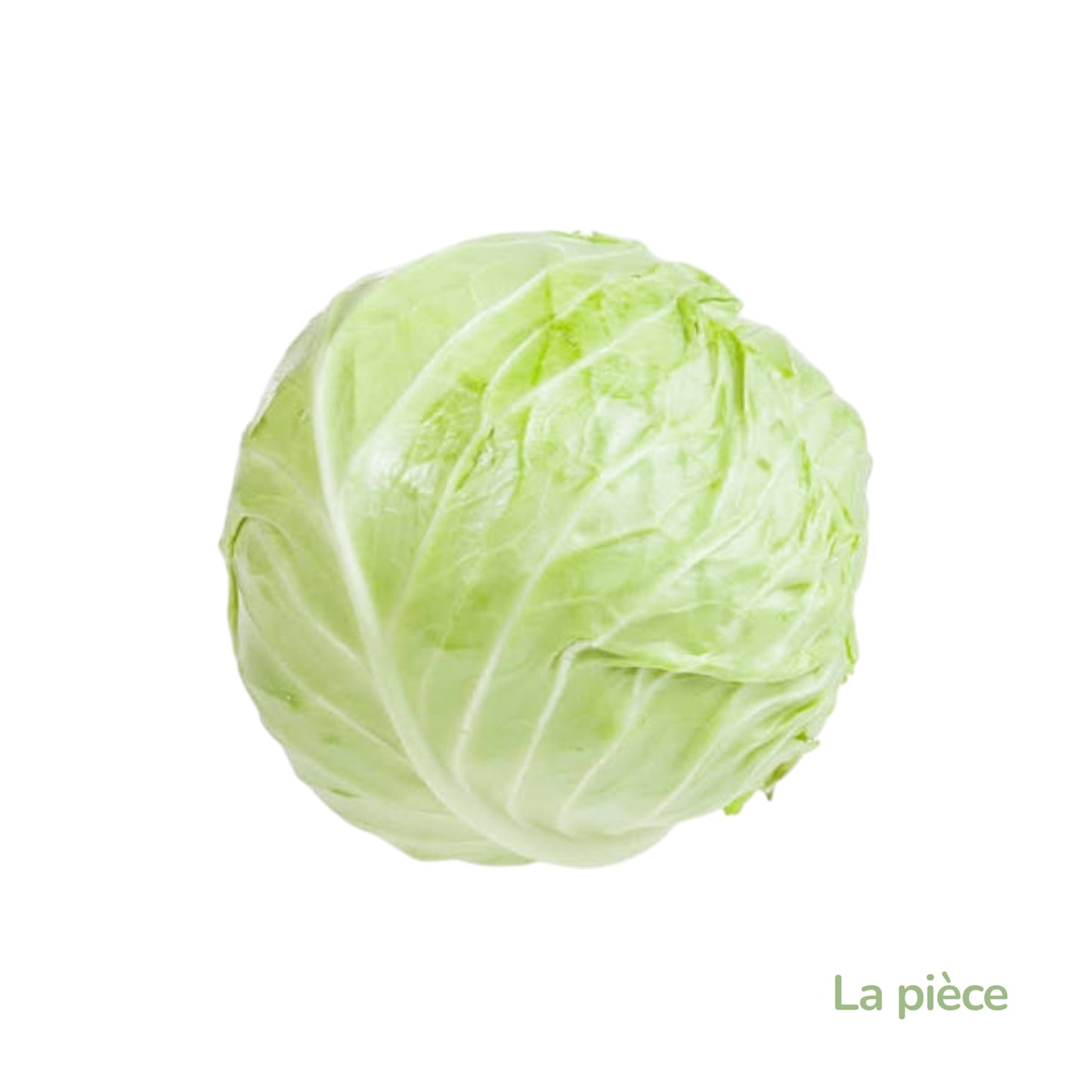 Chou blanc la pièce-France